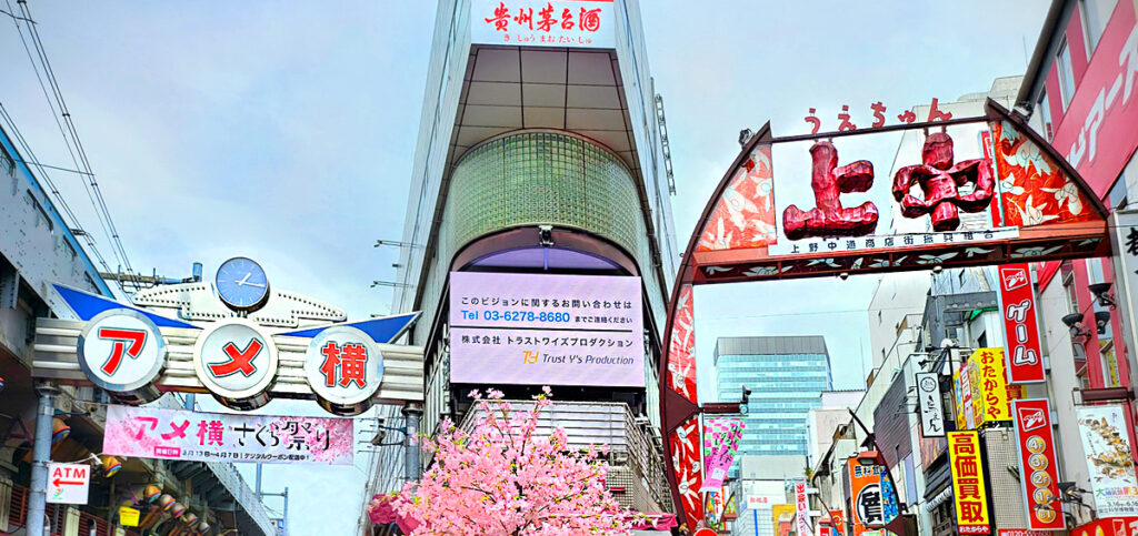 2_Tokyo Ameyoko mercato