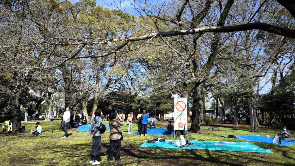 6_Tokyo Ueno hamami ciliegi