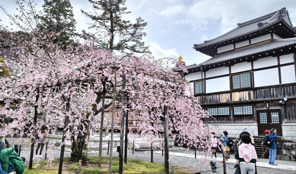 Kyoto - Kiyomizu-dera - 
