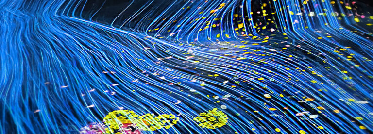 Read more about the article TeamLab Borderless – Universe of Water