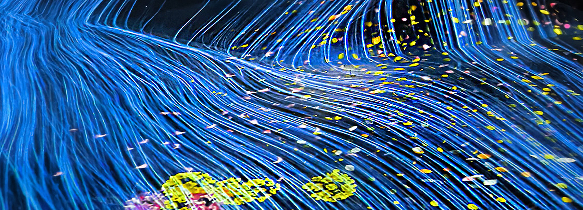 Read more about the article TeamLab Borderless – Universe of Water