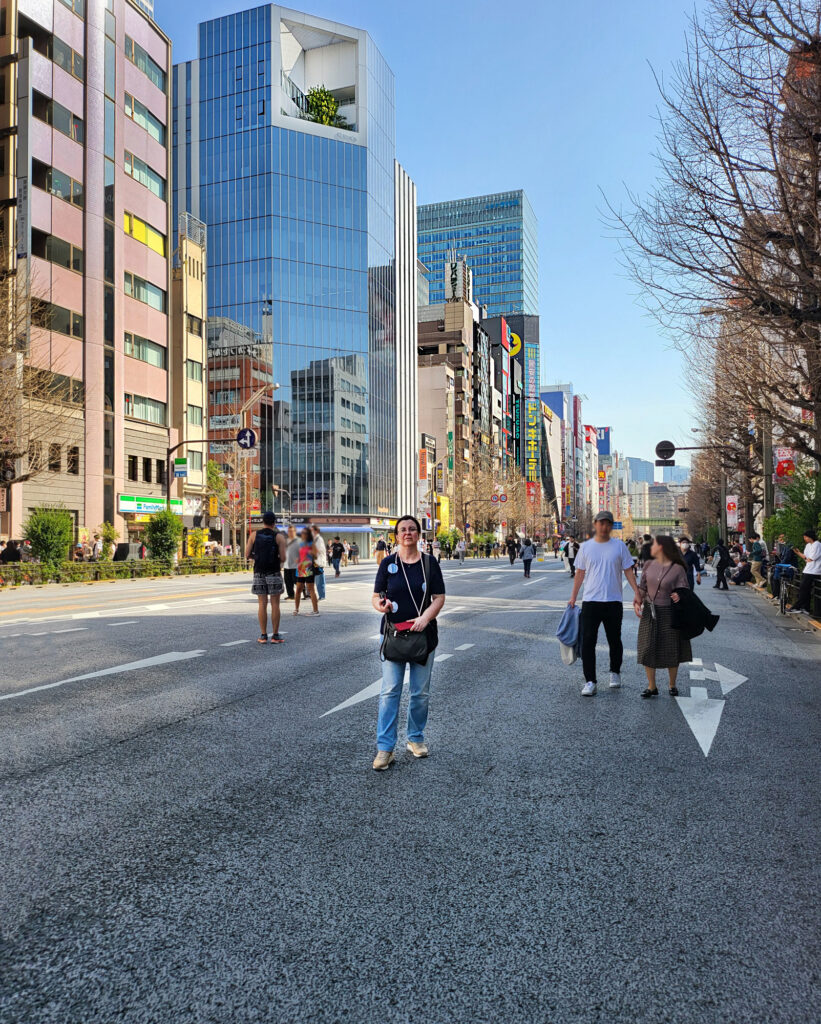 4-Tokyo Akihabara Chuo dori