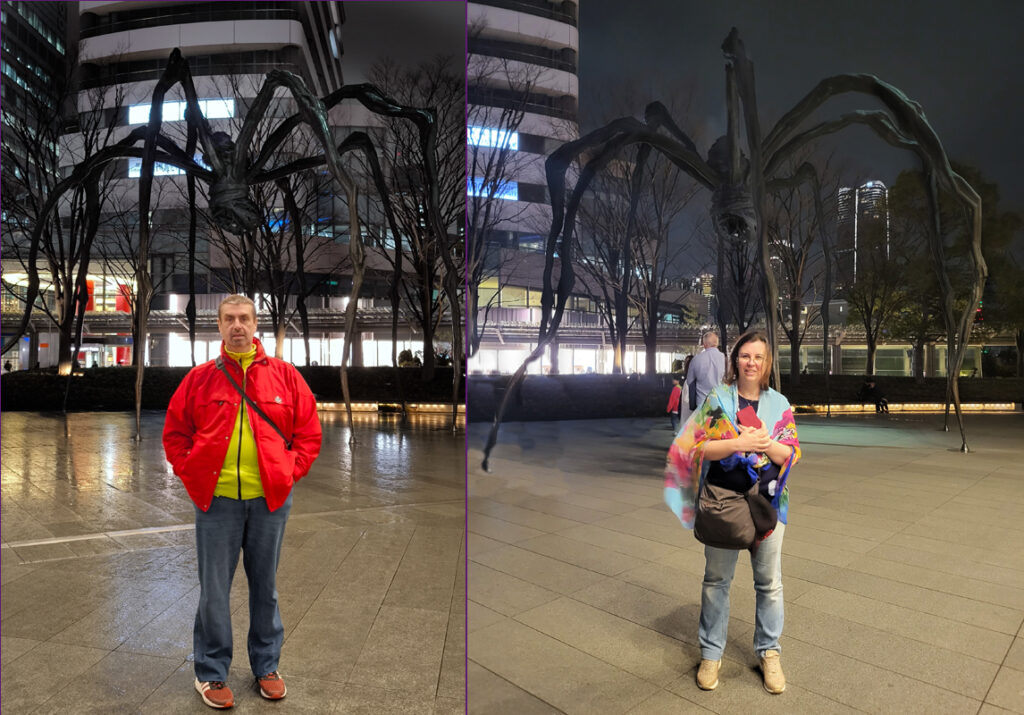 This image has an empty alt attribute; its file name is collage_ragno-1024x715.jpg