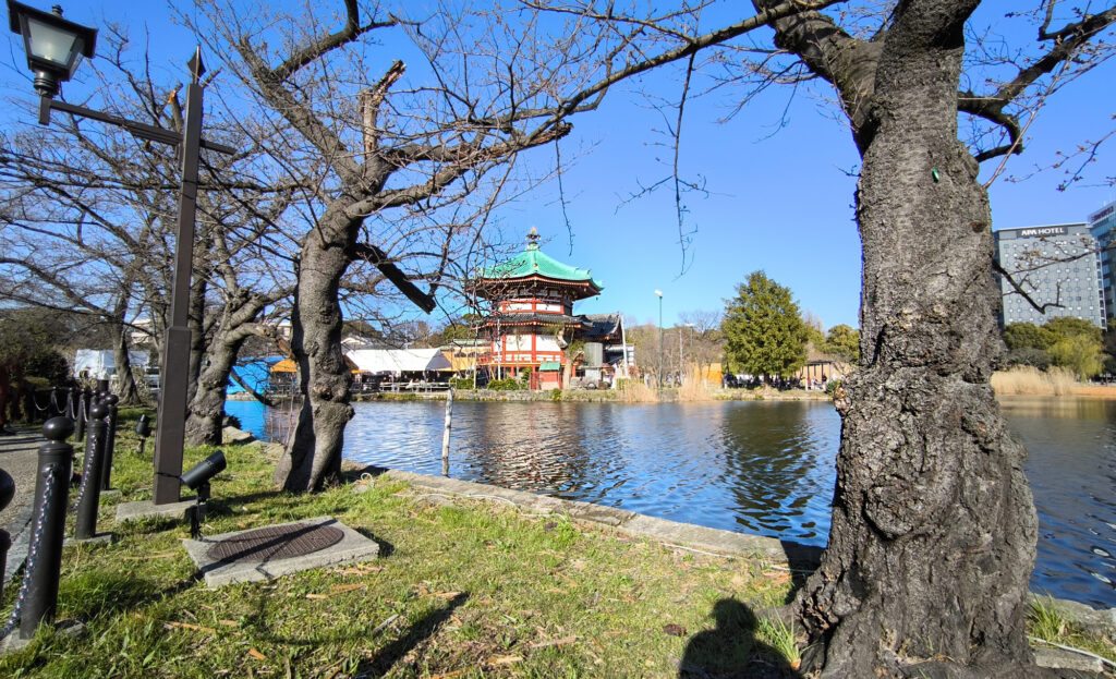 Gli stagni di Ueno - stagno dei fiori di loto con Benten-do