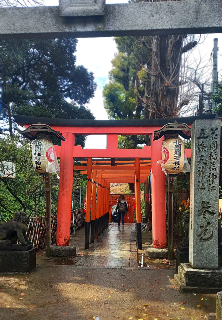 2_Tokyo Ueno Shrine torii