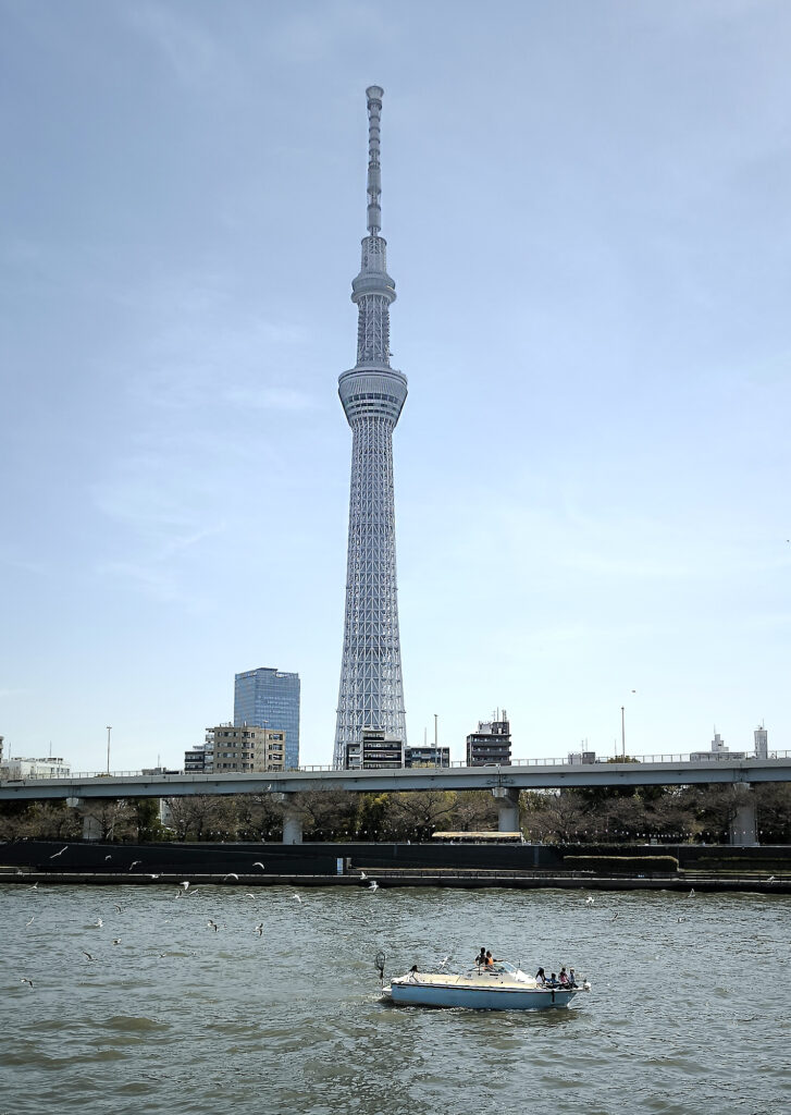 Fiume Sumida e Tokyo Sky Tree