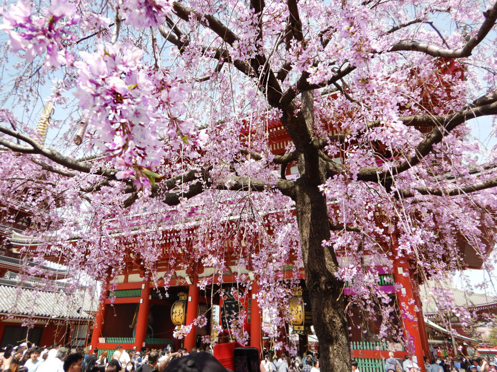 4_Tokyo Asakusa Kinryuzan Senso-ji - Porta Hozomon