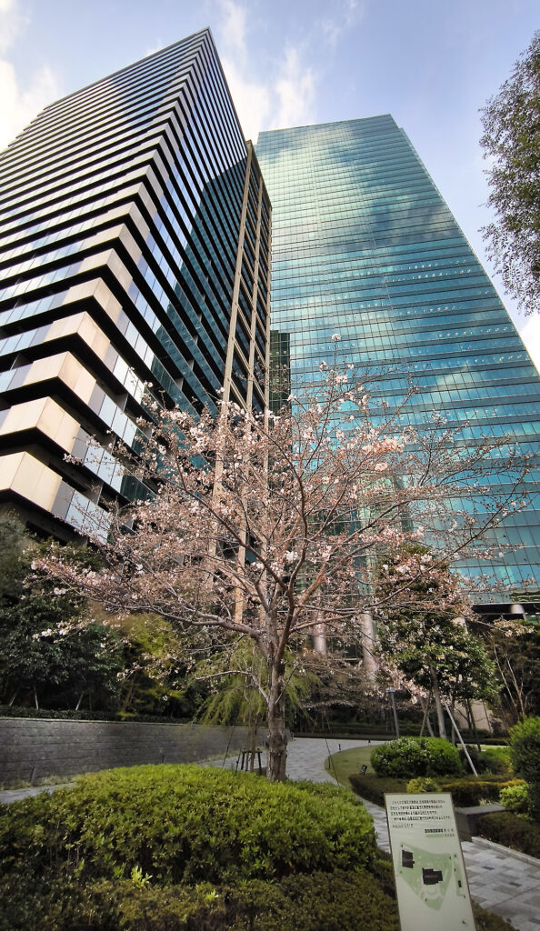 Roppongi