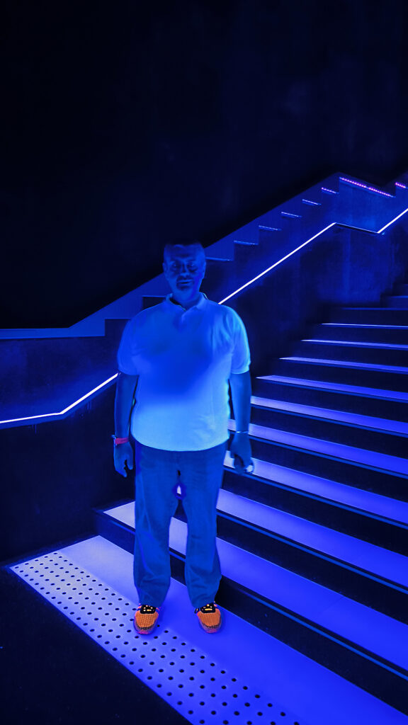 Teamlab Borderless - ingresso