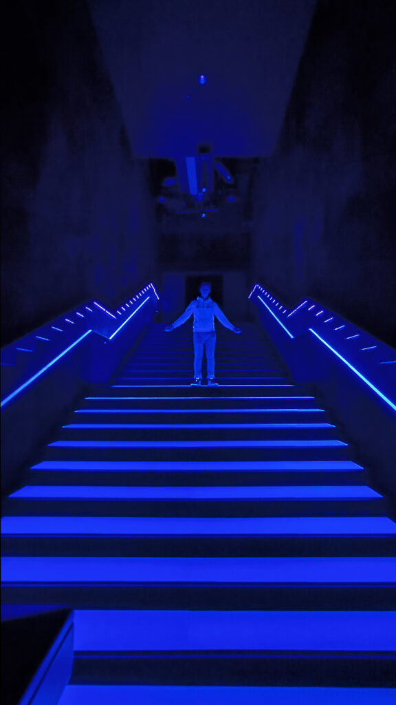 Teamlab Borderless - ingresso