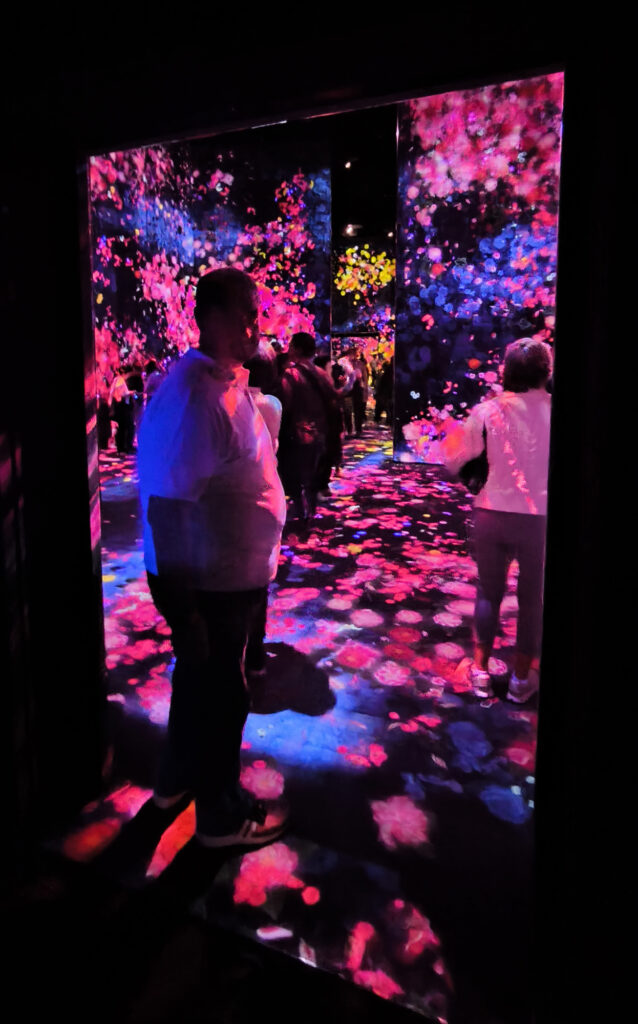 Teamlab Borderless - colors room