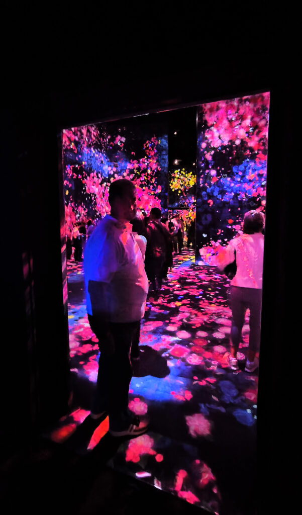 Teamlab Borderless - inizia