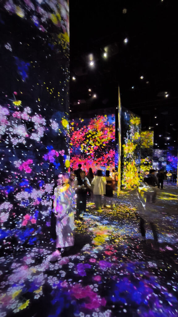 Teamlab Borderless - colors room