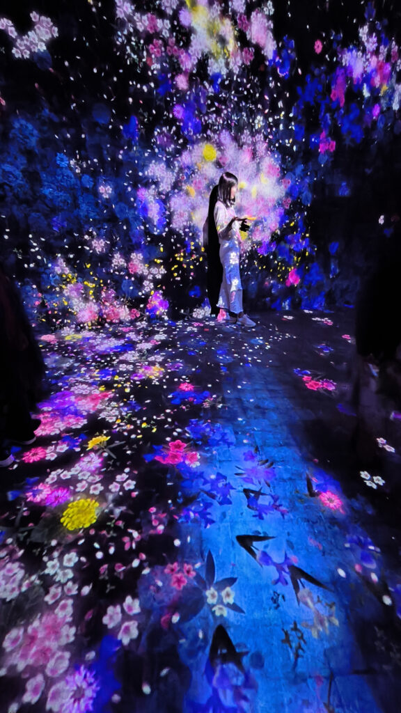 Teamlab Borderless - flowers room