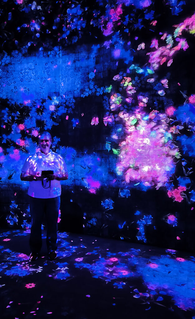 Teamlab Borderless - farfalle