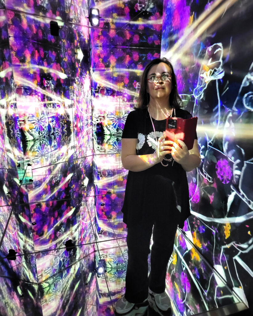 Teamlab Borderless - passaggi