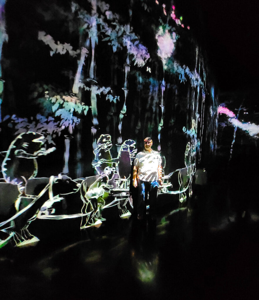 Teamlab Borderless - Walk, Walk, Walk