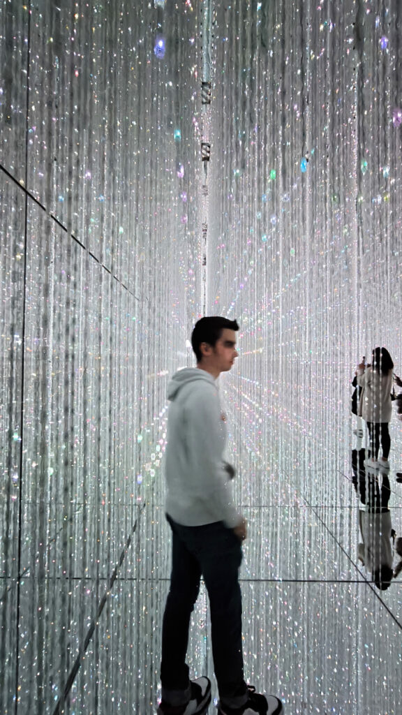Teamlab Borderless - Crystal World led