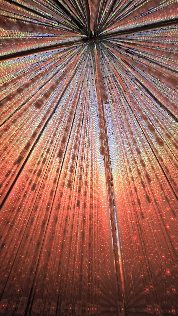 Teamlab Borderless - Crystal World led