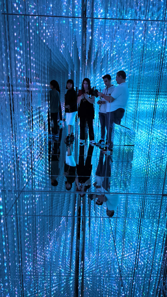 Teamlab Borderless - Crystal World led