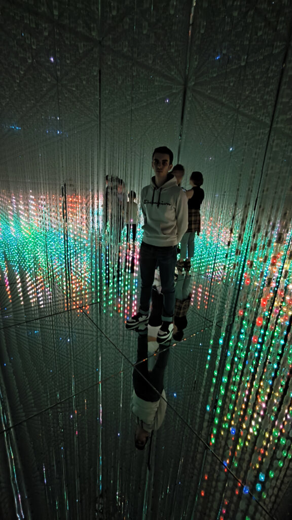 Teamlab Borderless - Crystal World led