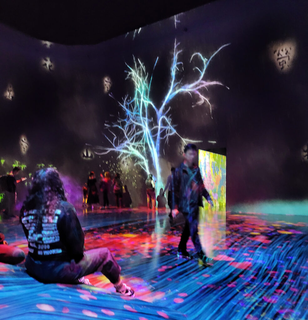 Teamlab Borderless - cascata