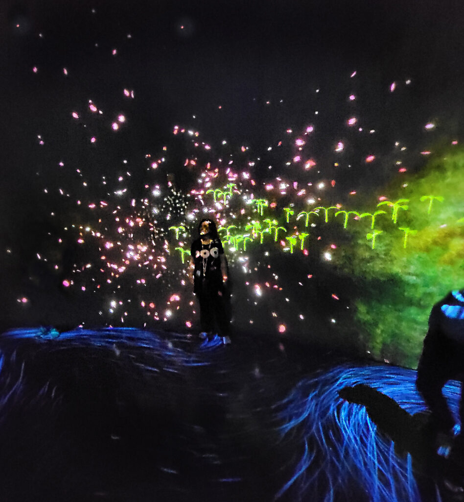 Teamlab Borderless - cascata