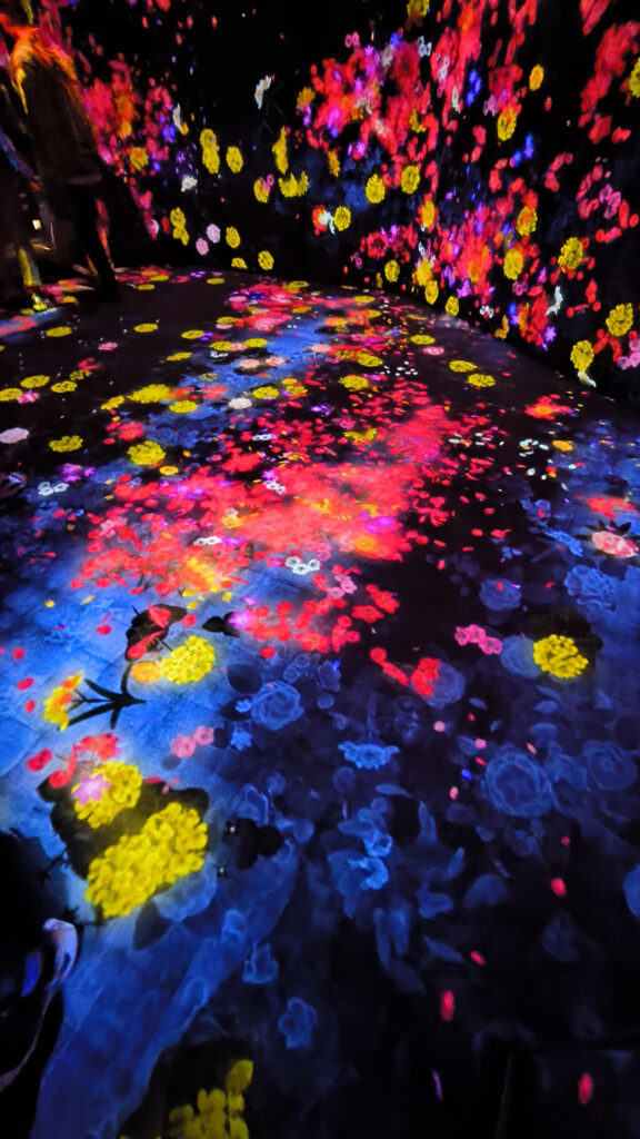 Teamlab Borderless - flowers room