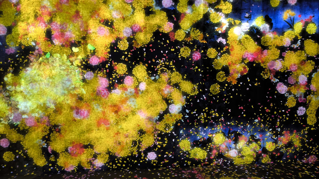 Teamlab Borderless - colors room