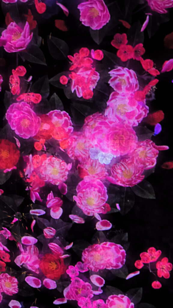 Teamlab Borderless - flowers room