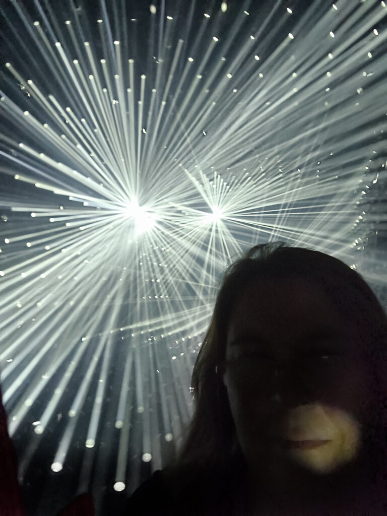 Teamlab Borderless - faretti laser