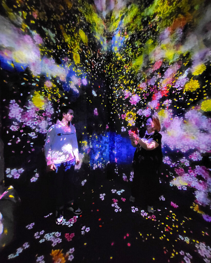 Teamlab Borderless - flowers room
