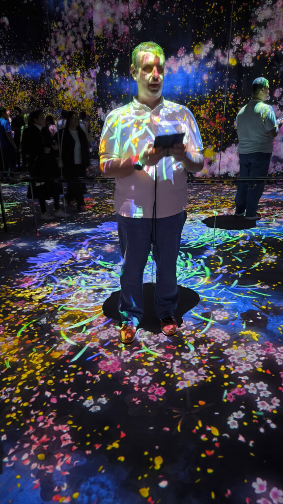Teamlab Borderless - flowers room