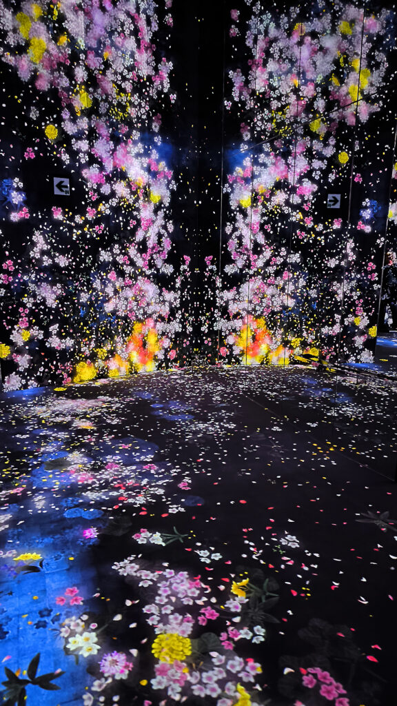 Teamlab Borderless - flowers room