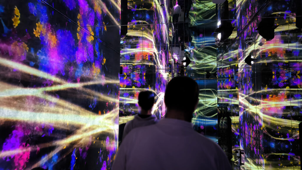 Teamlab Borderless - passaggi