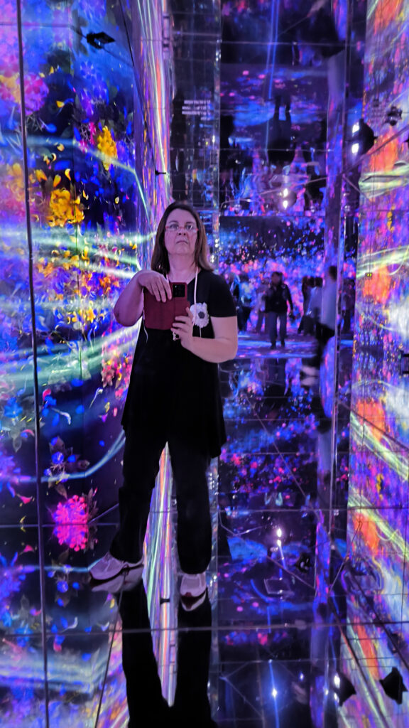 Teamlab Borderless - passaggi