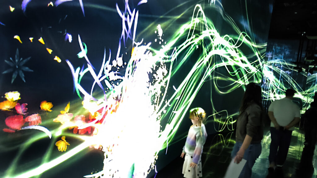 Teamlab Borderless - passaggi