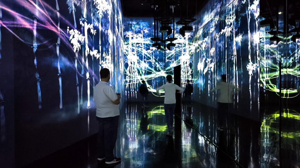 Teamlab Borderless - passaggi