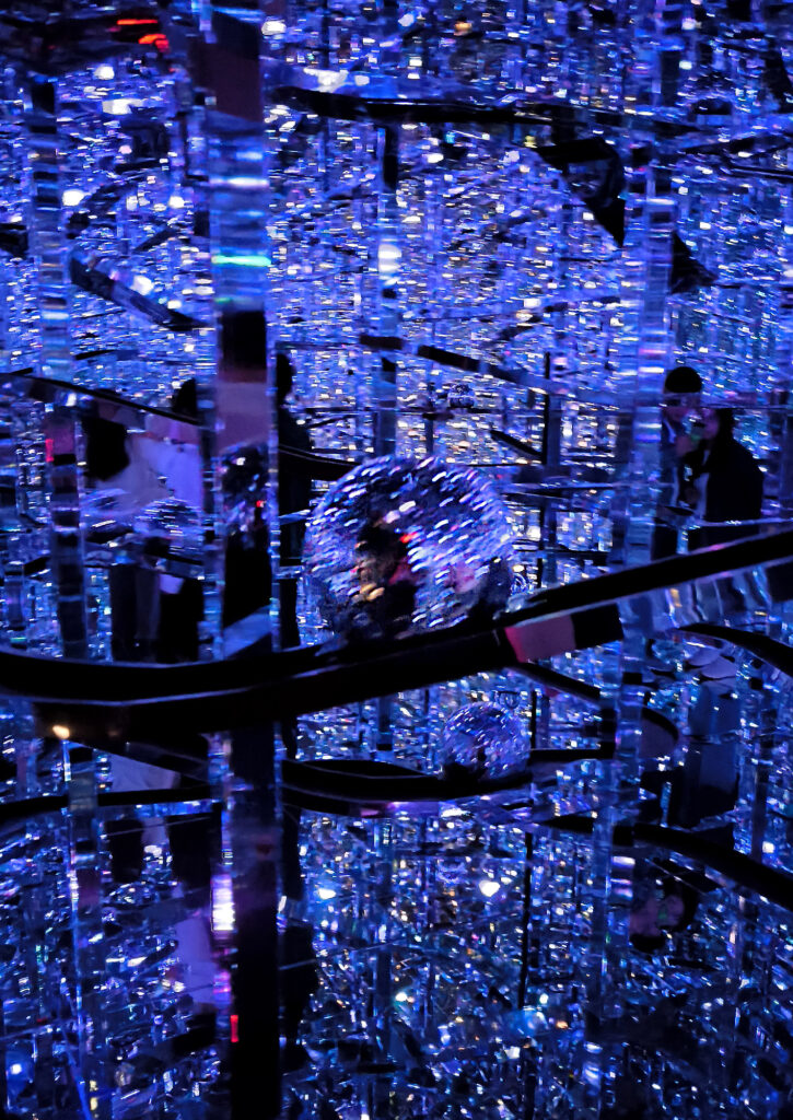 Teamlab Borderless - Microcosmoses