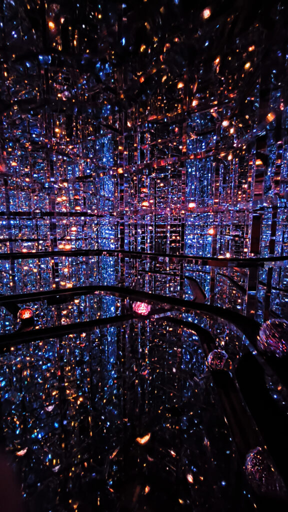Teamlab Borderless - Microcosmoses