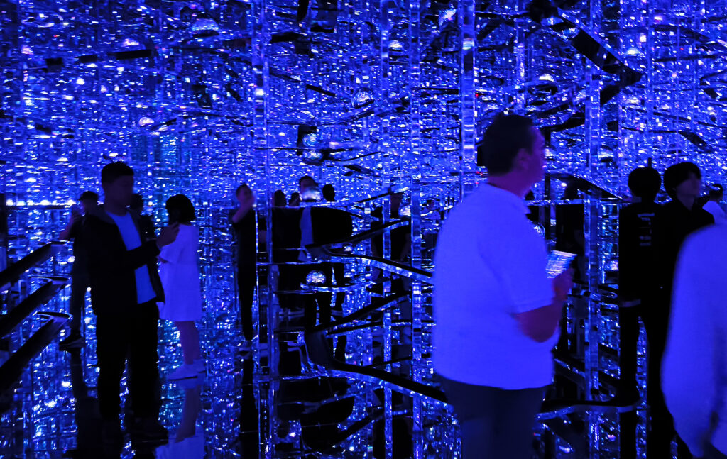 Teamlab Borderless - Microcosmoses