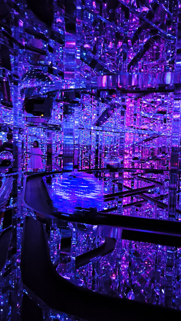 Teamlab Borderless - Microcosmoses