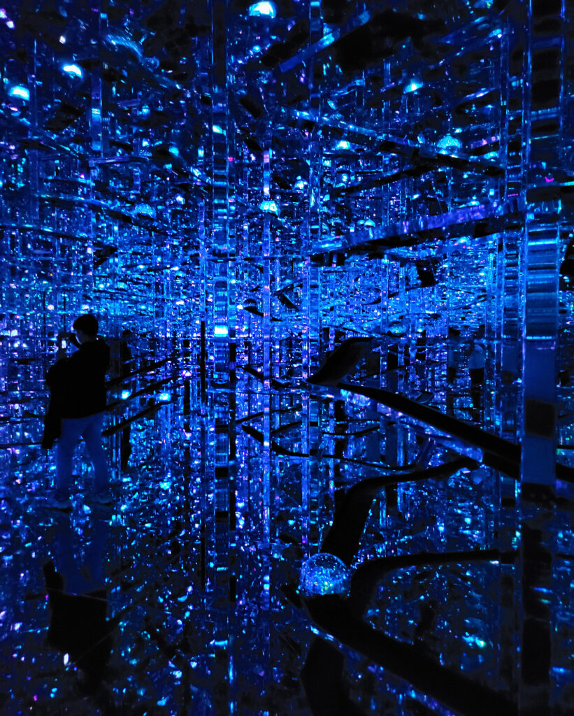 Teamlab Borderless - Microcosmoses