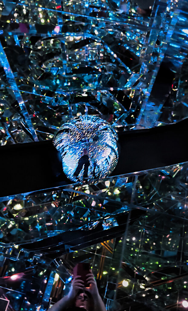 Teamlab Borderless - Microcosmoses