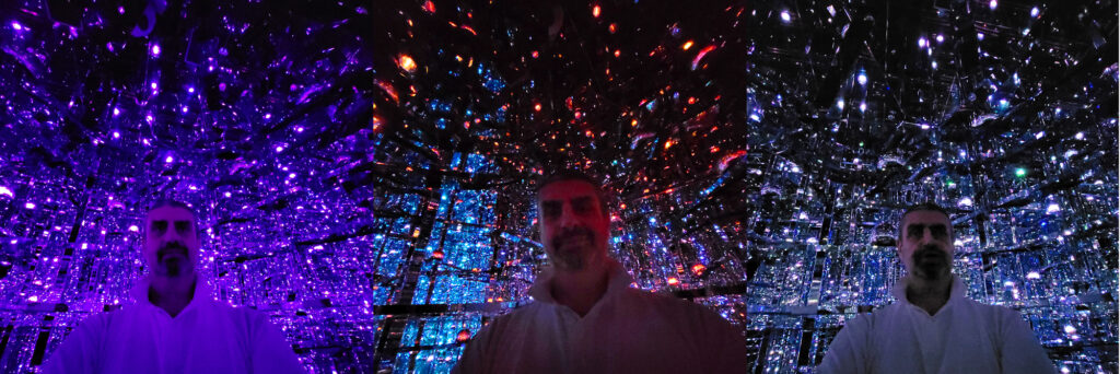 Teamlab Borderless - Microcosmoses