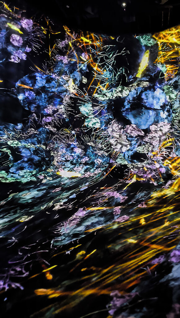 Teamlab Borderless - flowers room