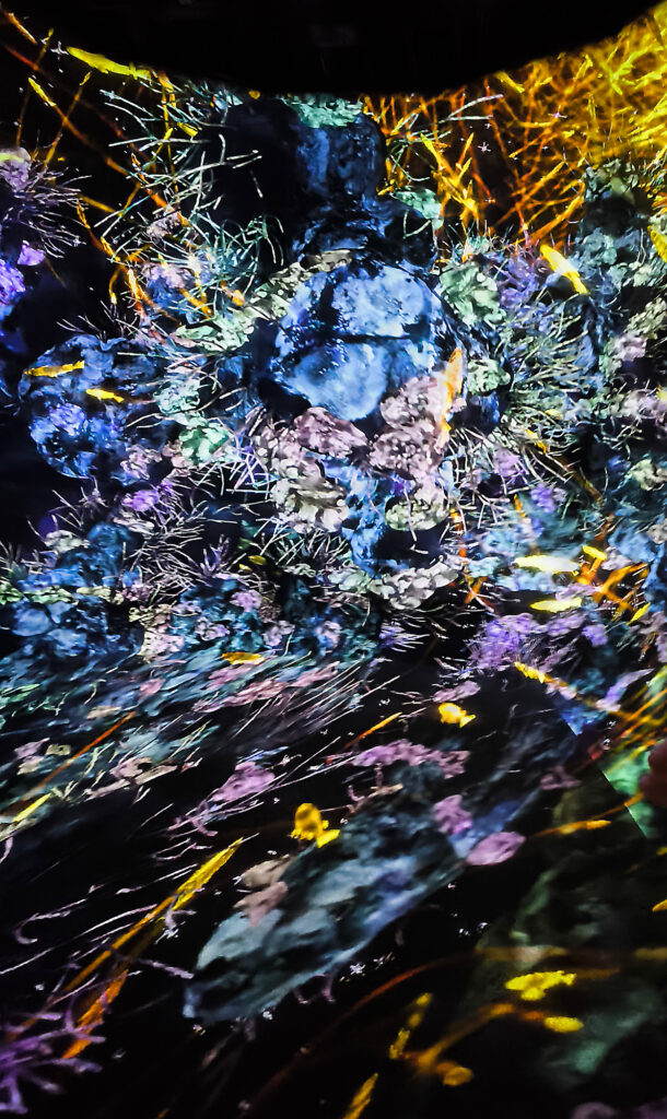 Teamlab Borderless - flowers room