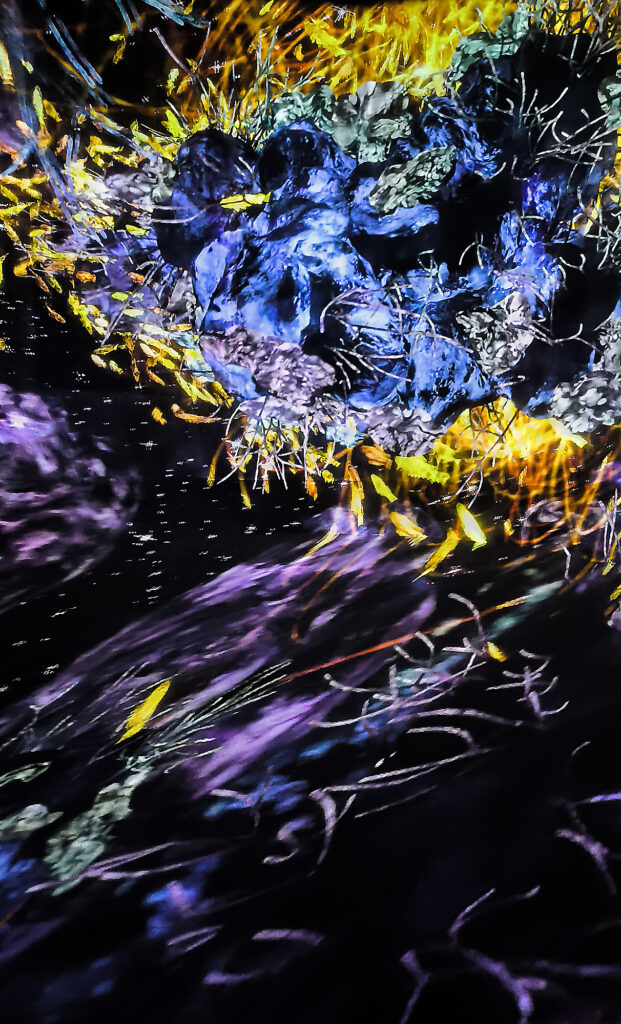 Teamlab Borderless - flowers room