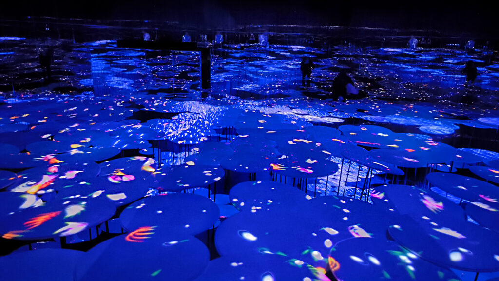 Teamlab Borderless - Memory of Topography - ninfee