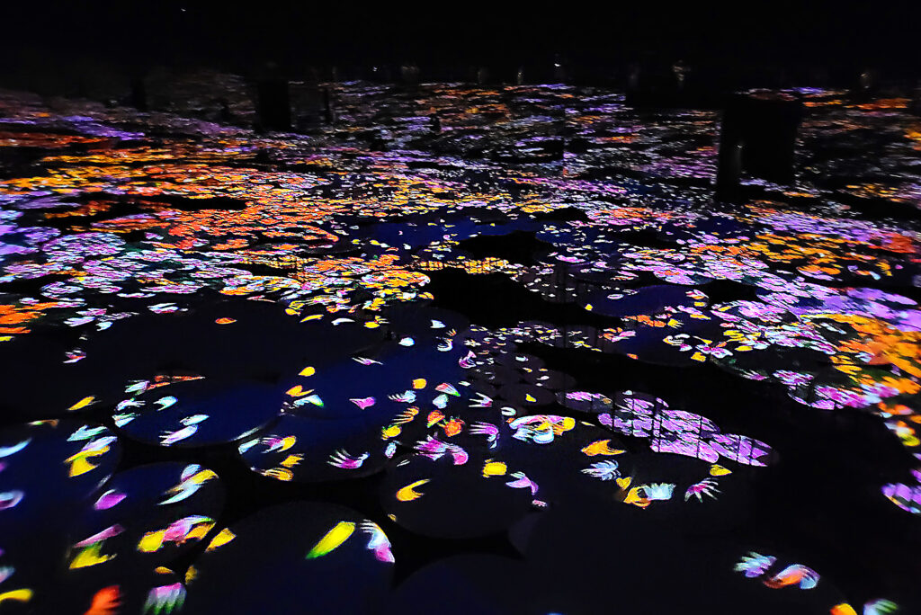 Teamlab Borderless - Memory of Topography - ninfee